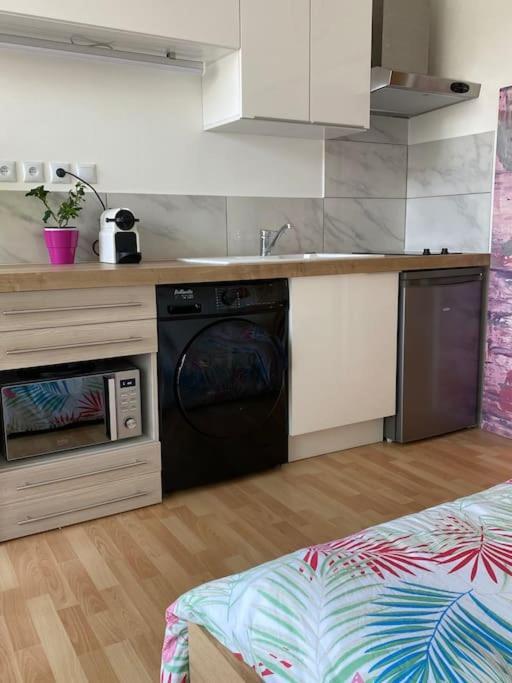 Le Cosy Tassin - Rez De Jardin Διαμέρισμα Εξωτερικό φωτογραφία